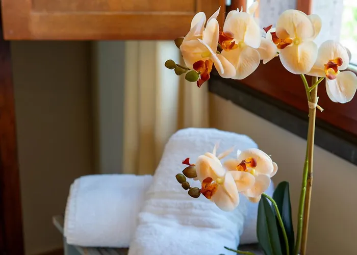 Giardini Malaspina 酒店 博萨