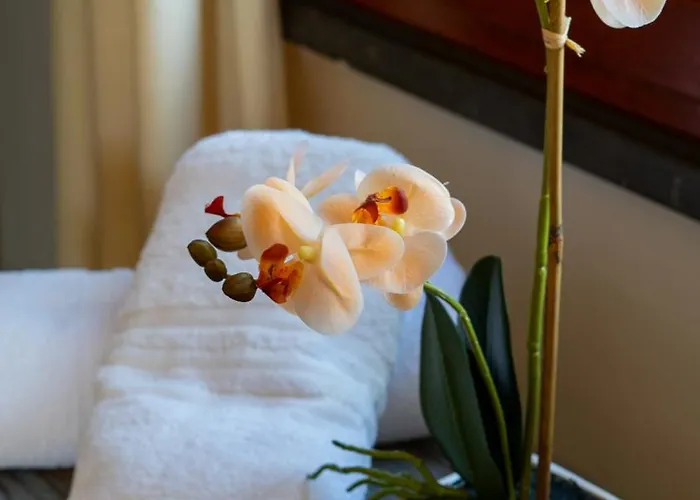 Giardini Malaspina 博萨