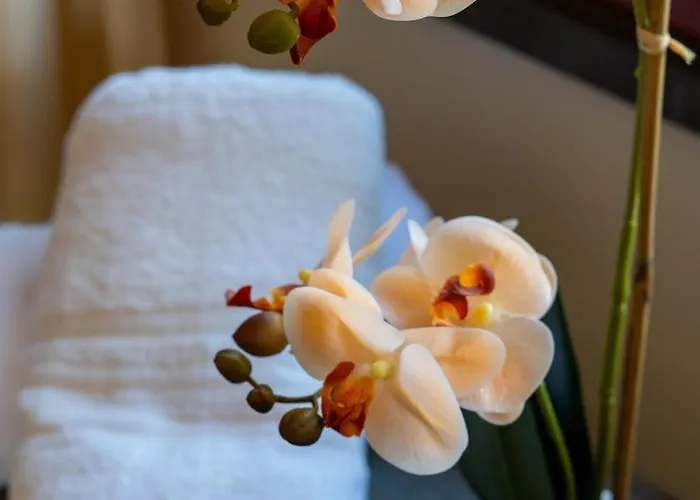 Giardini Malaspina * 博萨